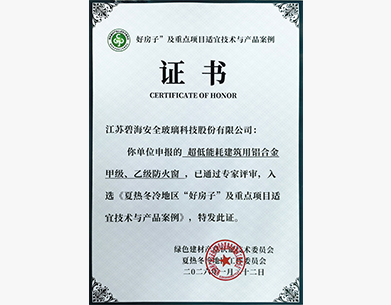好房子”及重点项目适宜技术与产品案例 证书